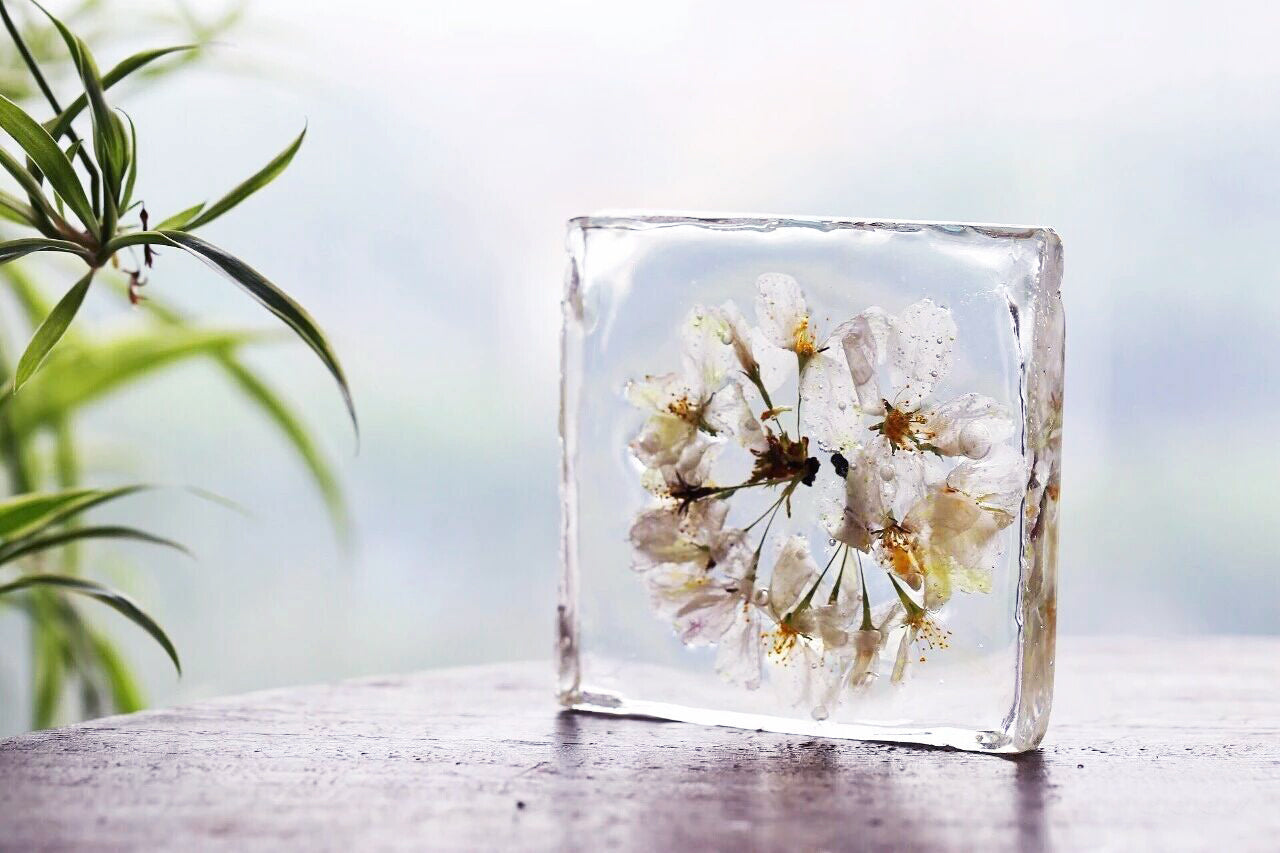 How to dry flowers for resin